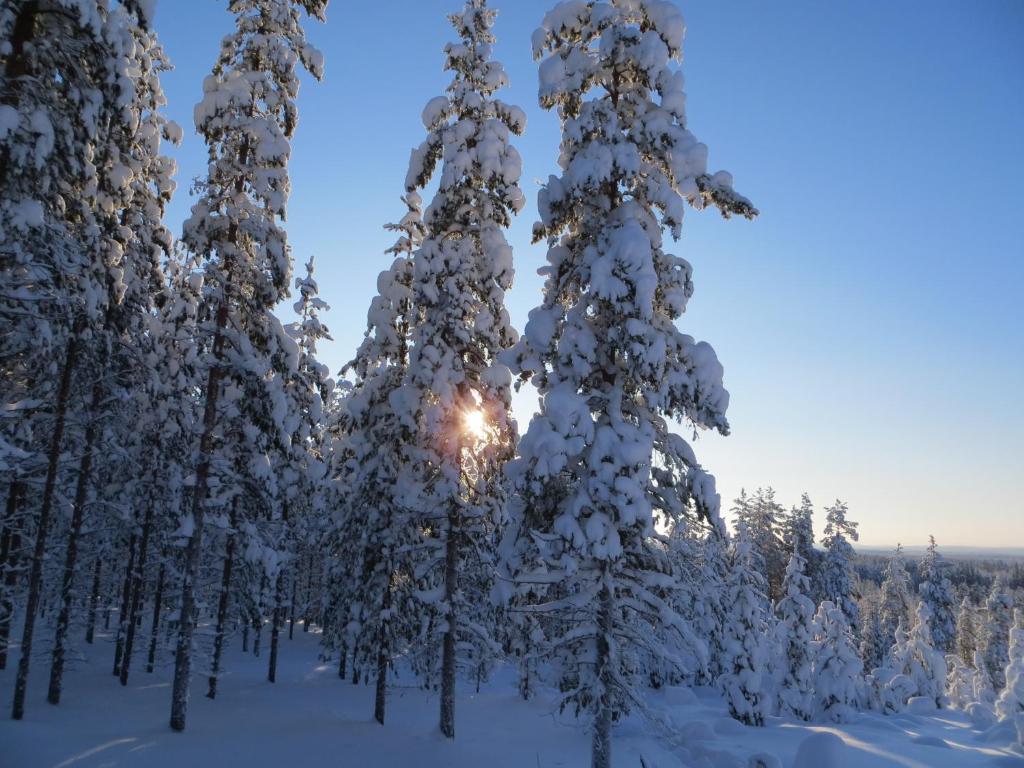 Myllyn Pirtti Cottage Naamijoki ภายนอก รูปภาพ