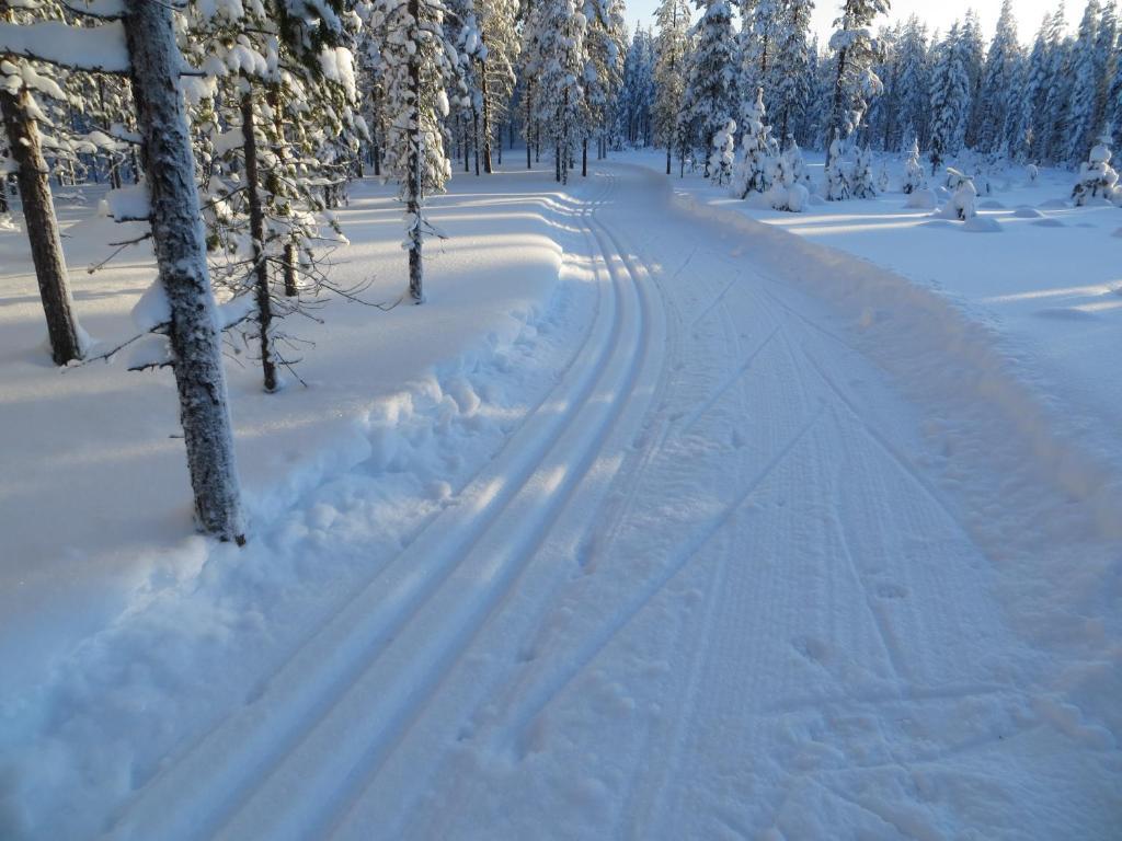 Myllyn Pirtti Cottage Naamijoki ภายนอก รูปภาพ
