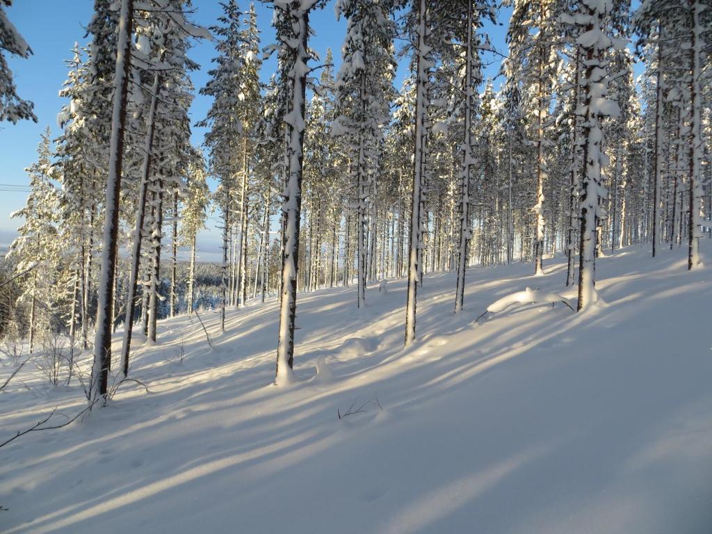 Myllyn Pirtti Cottage Naamijoki ภายนอก รูปภาพ