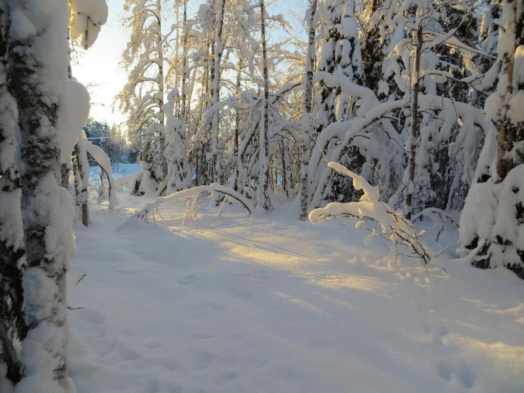 Myllyn Pirtti Cottage Naamijoki ภายนอก รูปภาพ
