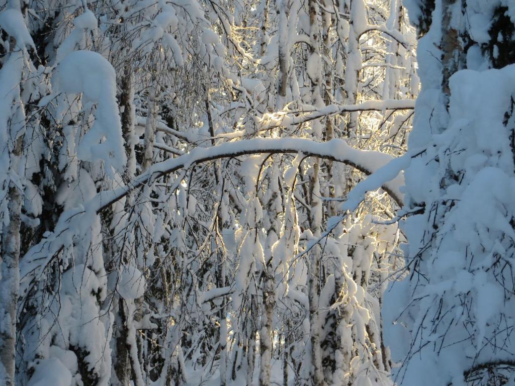 Myllyn Pirtti Cottage Naamijoki ภายนอก รูปภาพ